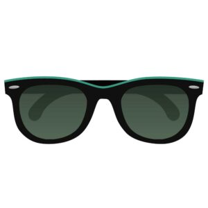 Polarized Sunglasses